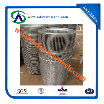 High Quality 1X1 Inch Galvanized Square Welded Wire Mesh (ADS-SW-07)